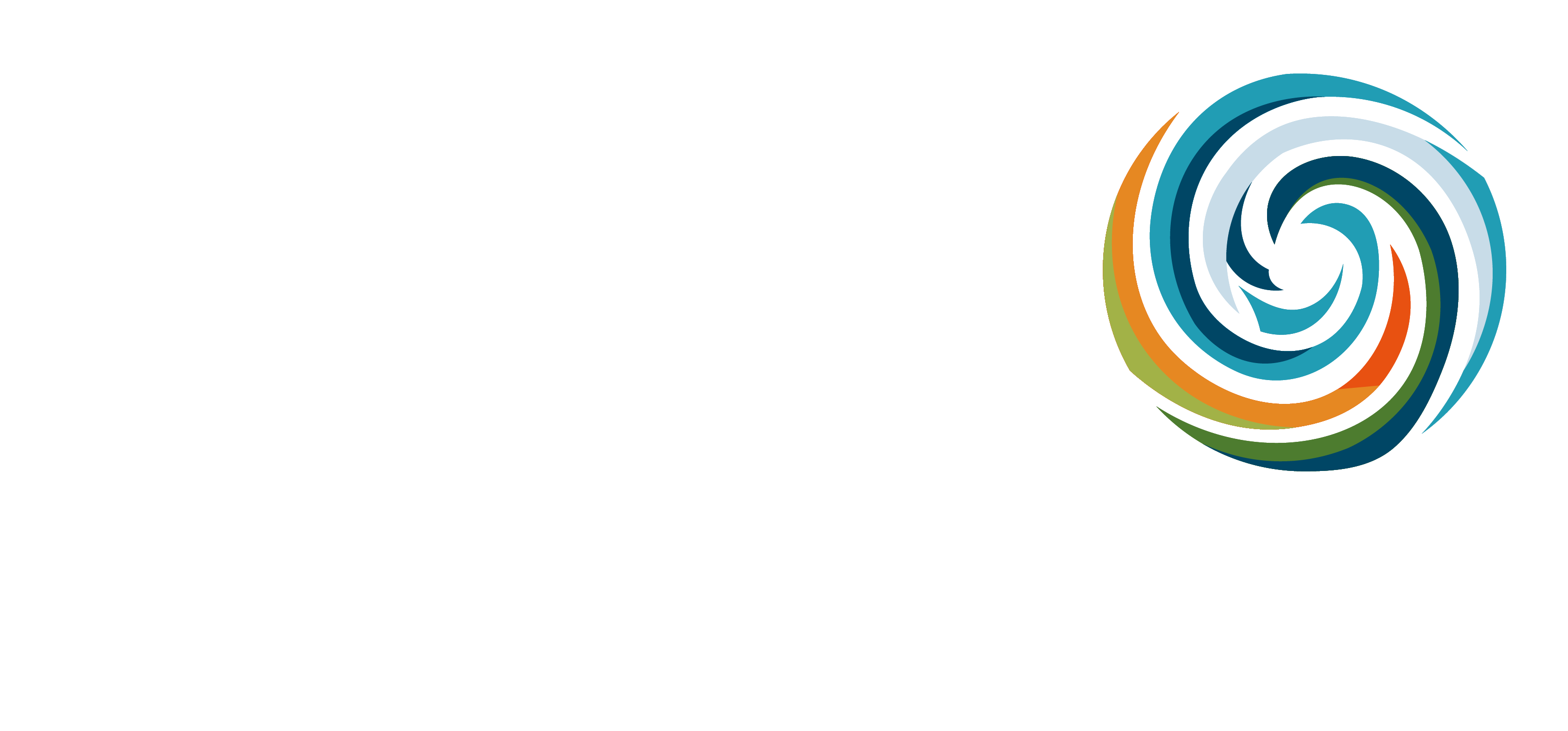 Cleo Consulting